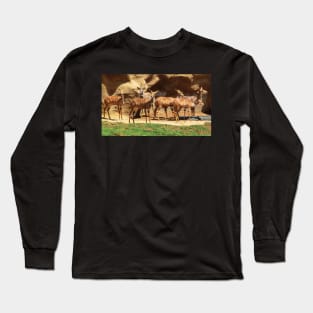 Nyala Antelopes Long Sleeve T-Shirt